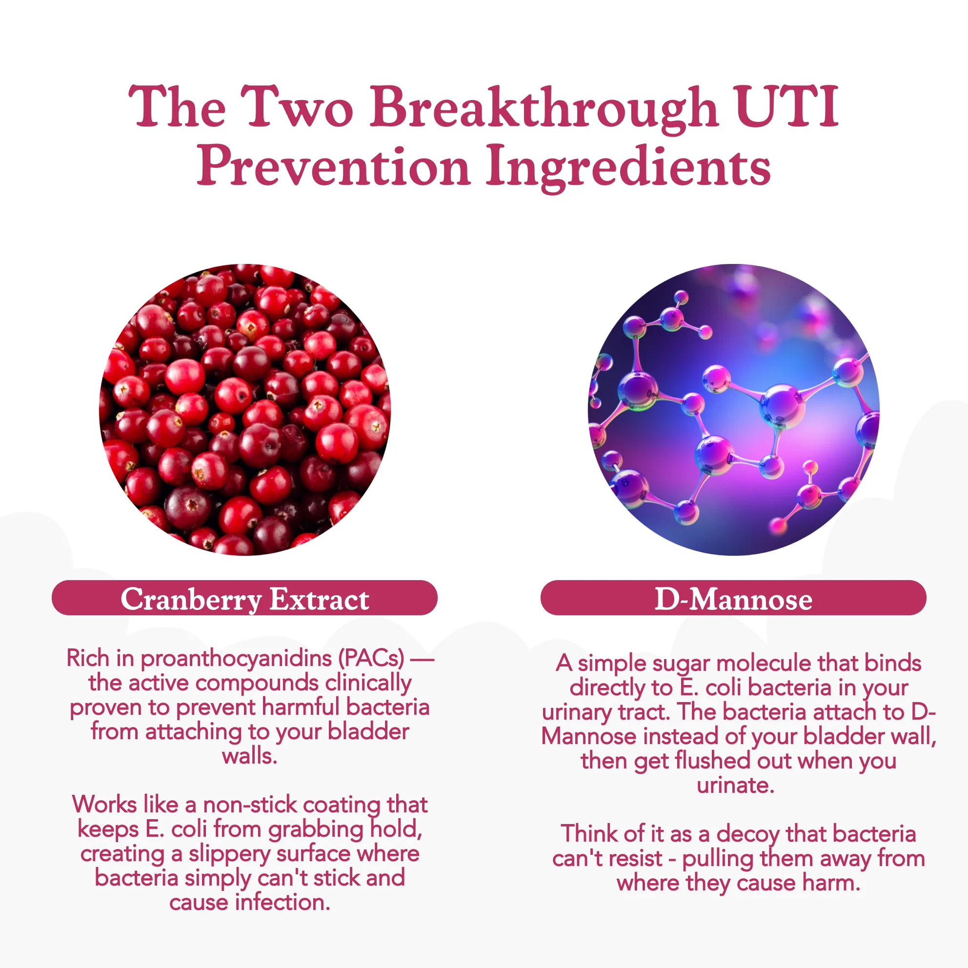 Cranberry & D Mannose Gummies - Image 5