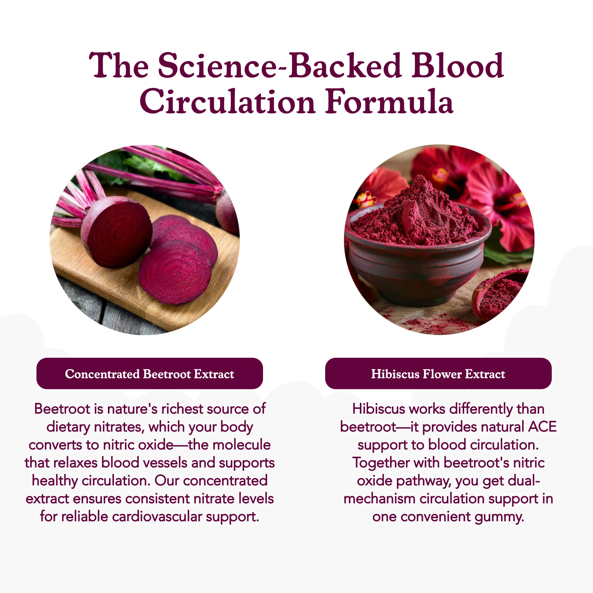 Hibiscus & Beetroot Gummies - Image 5